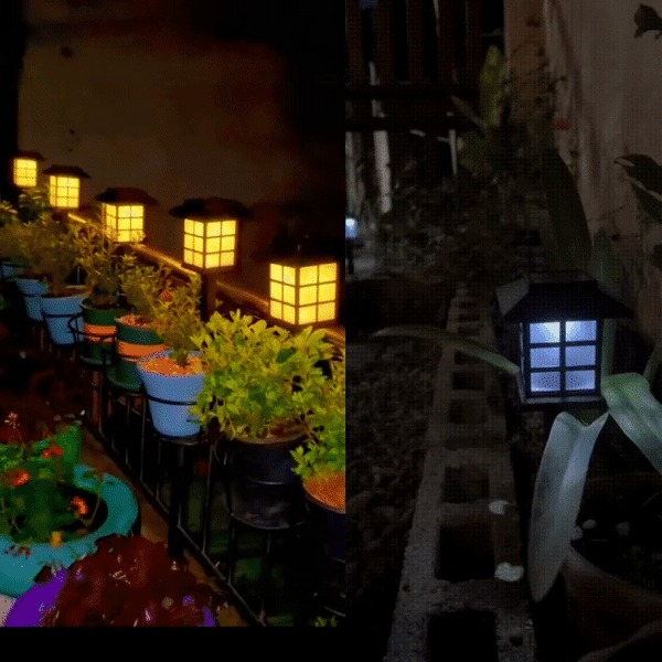 Sunshine Glow Pathway Lights