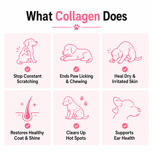 Velaneo Pet Collagen Drops